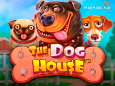 Roxy palace casino free games. Son bölüm gönül dağı son bölüm.69